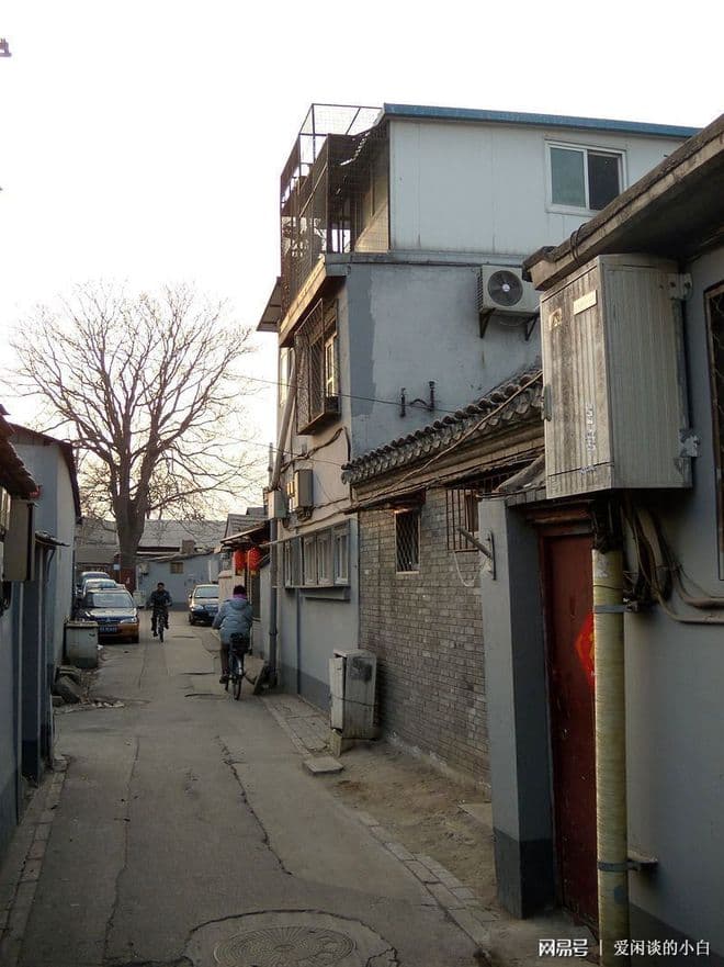 浅谈《北京一夜》——百花深处无人问魂