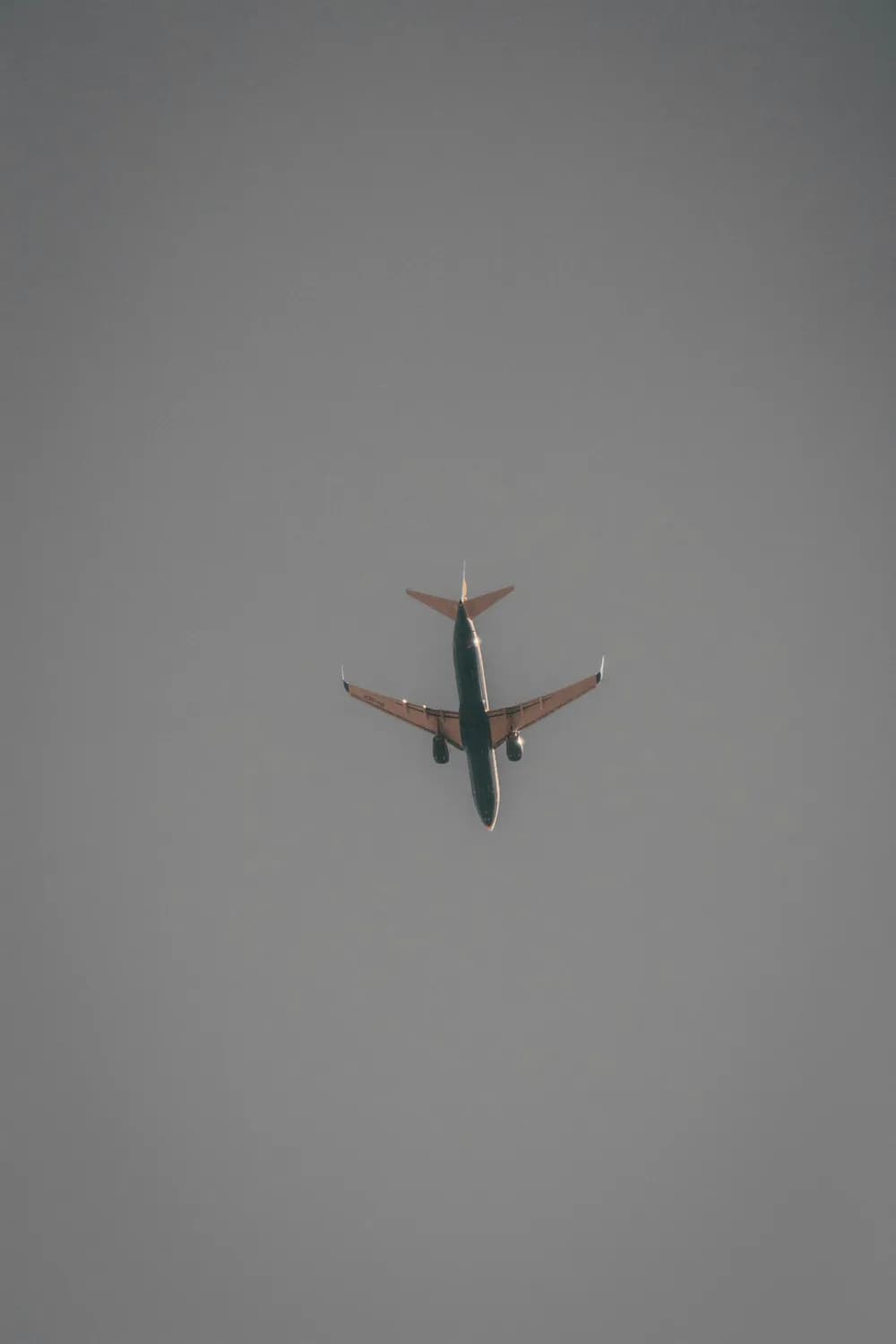 C919：中国航空工业的突破与未来