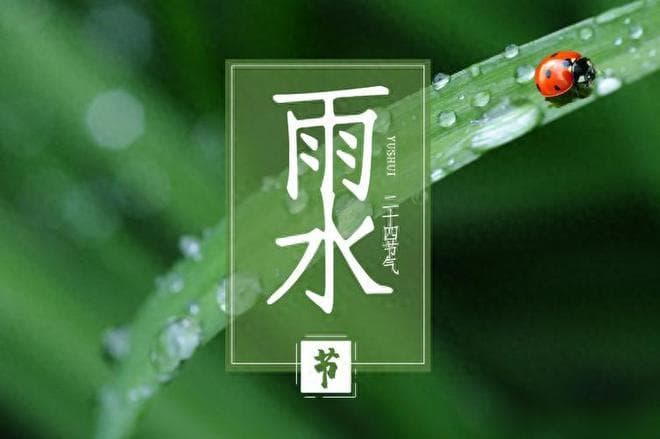 “雨水在头，六月穿袄；雨水在尾，六月桑拿”，今年雨水在哪