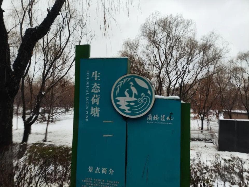 学会自嘲，活出自己真实的样子，是心理韧性的组成部分