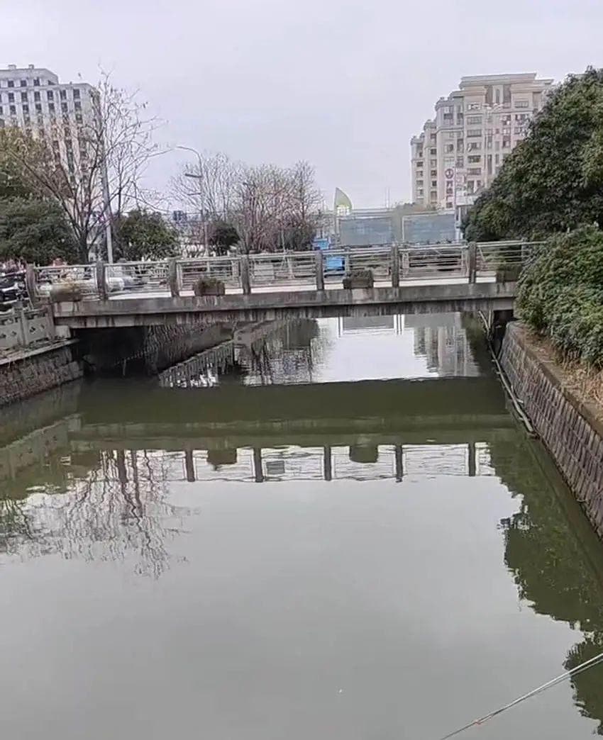痛心！19岁女孩不幸牺牲，这已不是她第一次救人……