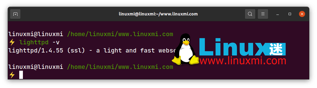 Ubuntu安装Lighttpd、PHP和MariaDB
