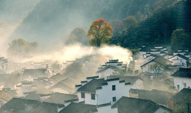 “梅子金黄杏子肥”：十首田园诗里的乡村景致
