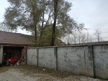 泗县法院：调解巧用“六尺巷”，绘制和谐好“枫”景