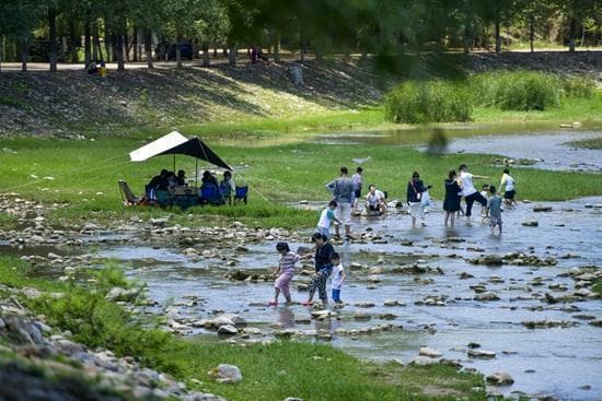 明火烧烤、乱扔垃圾，野外露营如何避免不文明行为