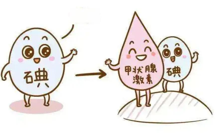 "碘"护健康：揭秘生活中的隐秘碘源