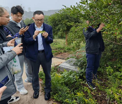 以创新科技赋能机械强林 绘就乡村振兴与生态繁荣宏伟蓝图