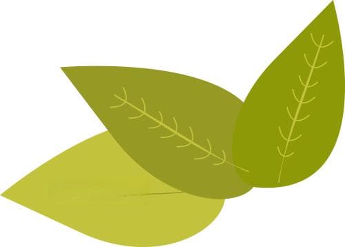 延长产假后，城市女性的就业状况明显变差，这是为什么？
