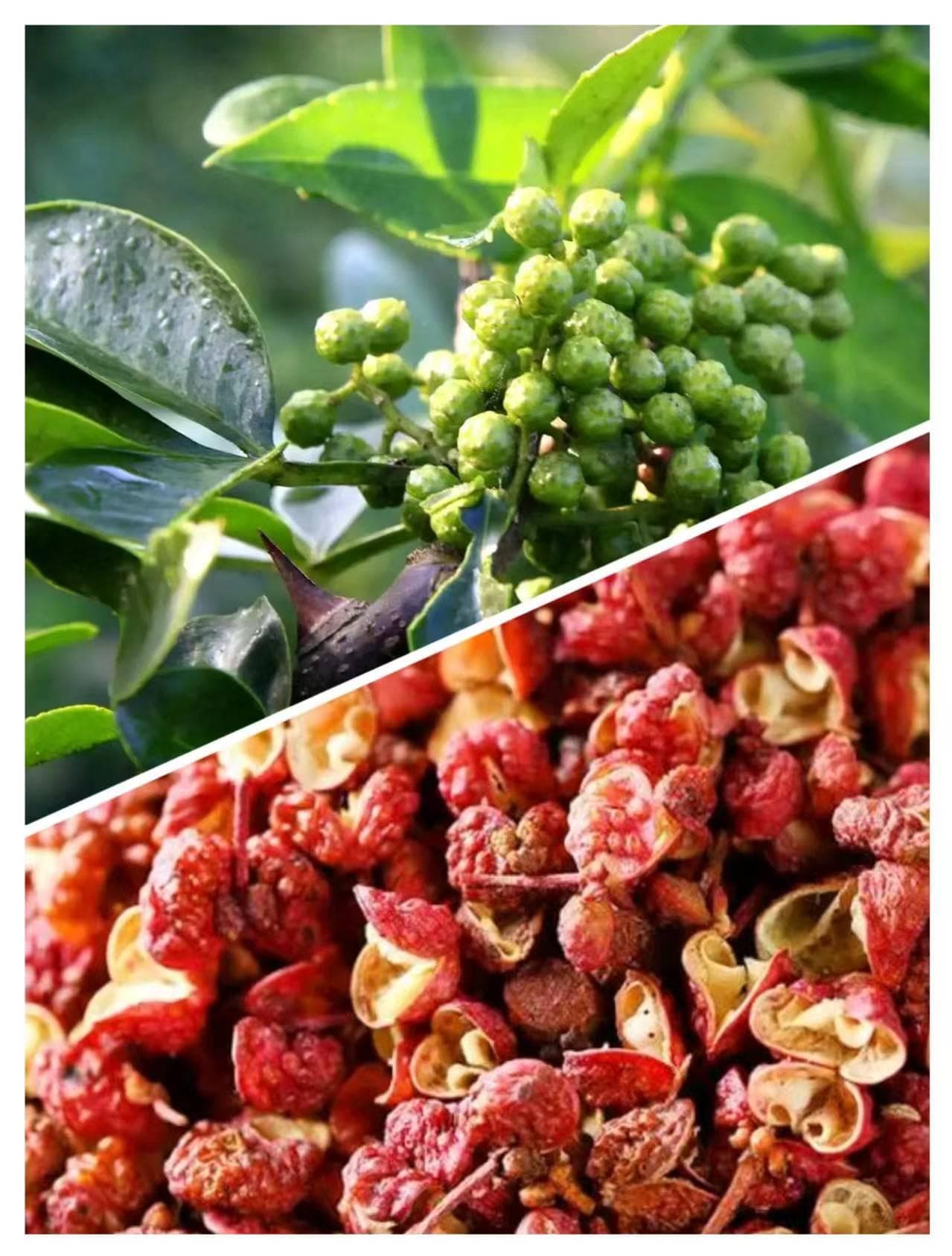 花椒怎么选？一看二闻三尝