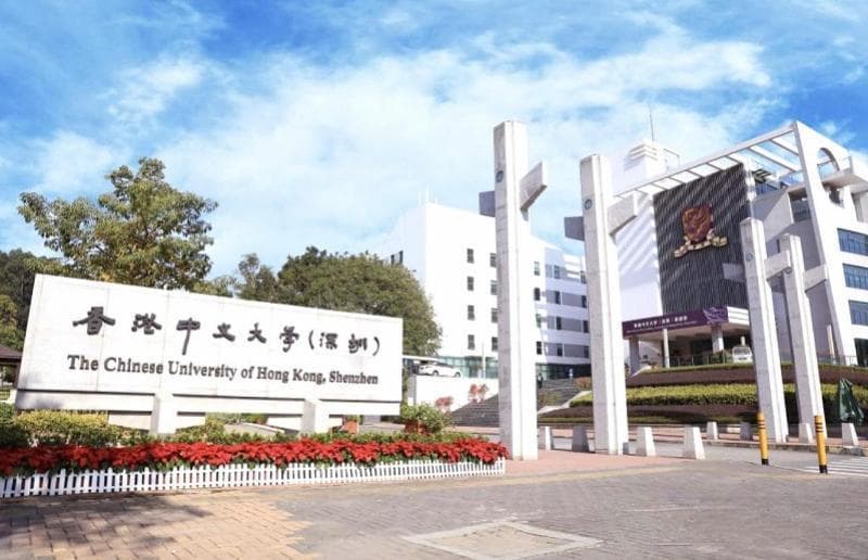 AI时代需要什么样的人才？港中大（深圳）校长徐扬生这样说