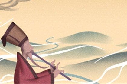 狗的基本特征与特点全解析