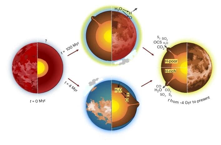 最新研究：金星可能从未拥有过海洋