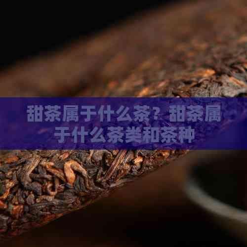 甜茶属于什么茶？甜茶属于什么茶类和茶种