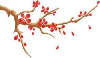 梅花重现梅花村：岭南古村的生态复兴之路