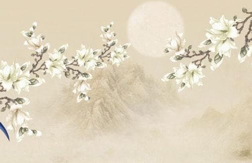天珠是什么及其形成过程了解 天珠的由来及特征详解