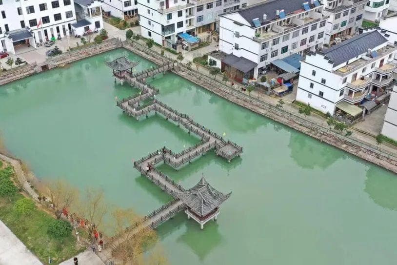 仙居下各：聚侨心汇侨力 筑梦乡村共富新纪元