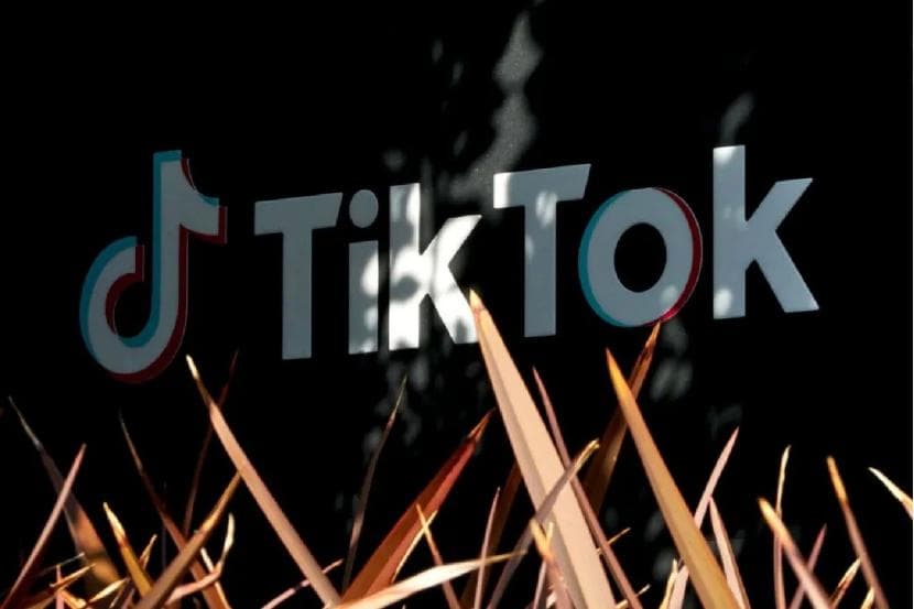 TikTok面临关闭，小红书海外用户激增至3858万浏览量
