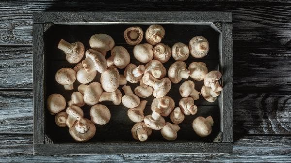 香菇的营养价值：蛋白质、维生素和矿物质的丰富来源