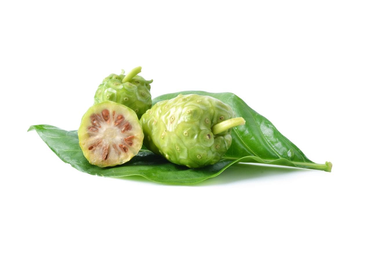 诺丽果是什么？诺丽果营养功效与5种禁忌一次掌握！