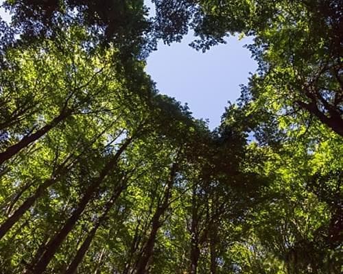 情感懂得这3招处理矛盾的恋爱技巧，才能不容易分手