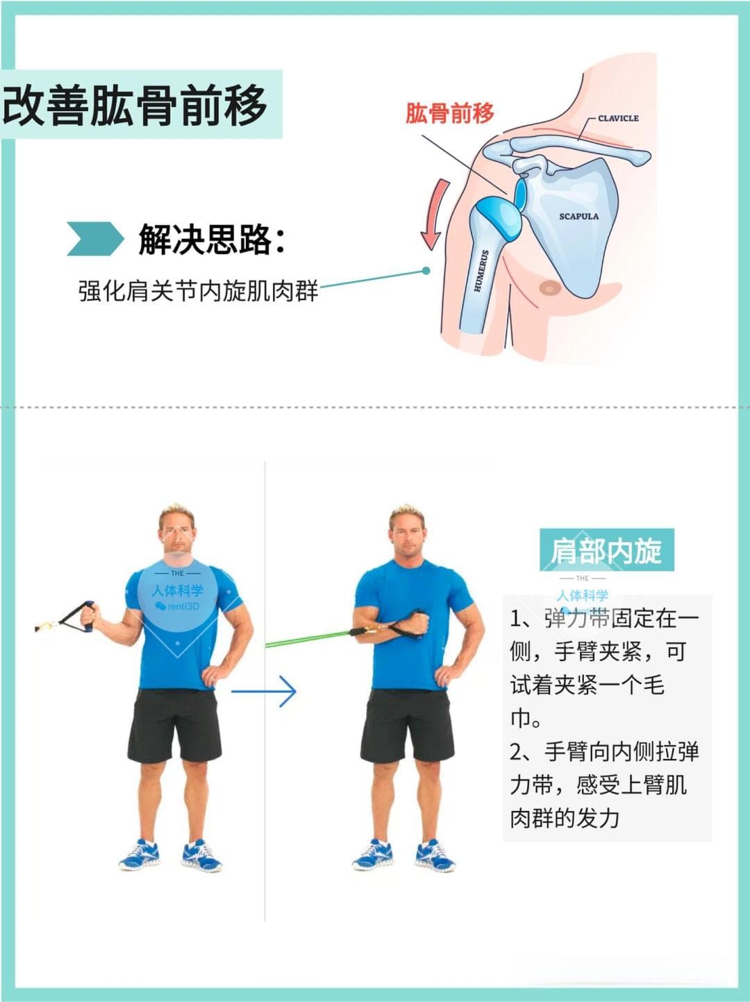 【肱骨前移】原理自测、解决思路、矫正训练
