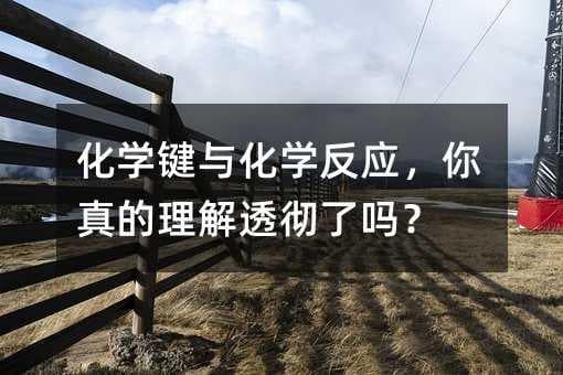 化学键与化学反应，你真的理解透彻了吗？