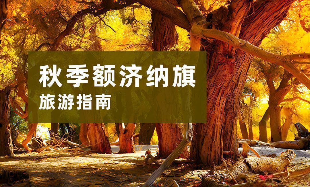 秋季旅游指南：额济纳旗胡杨林攻略，实用信息一览