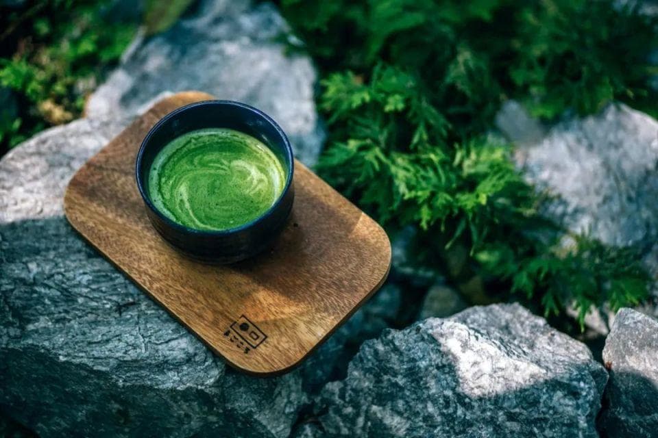 这抹绿，从日本回到中国