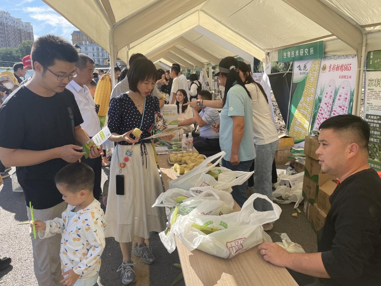 北京市农林科学院首届“农科开放日”展示六大特色鲜食玉米品种
