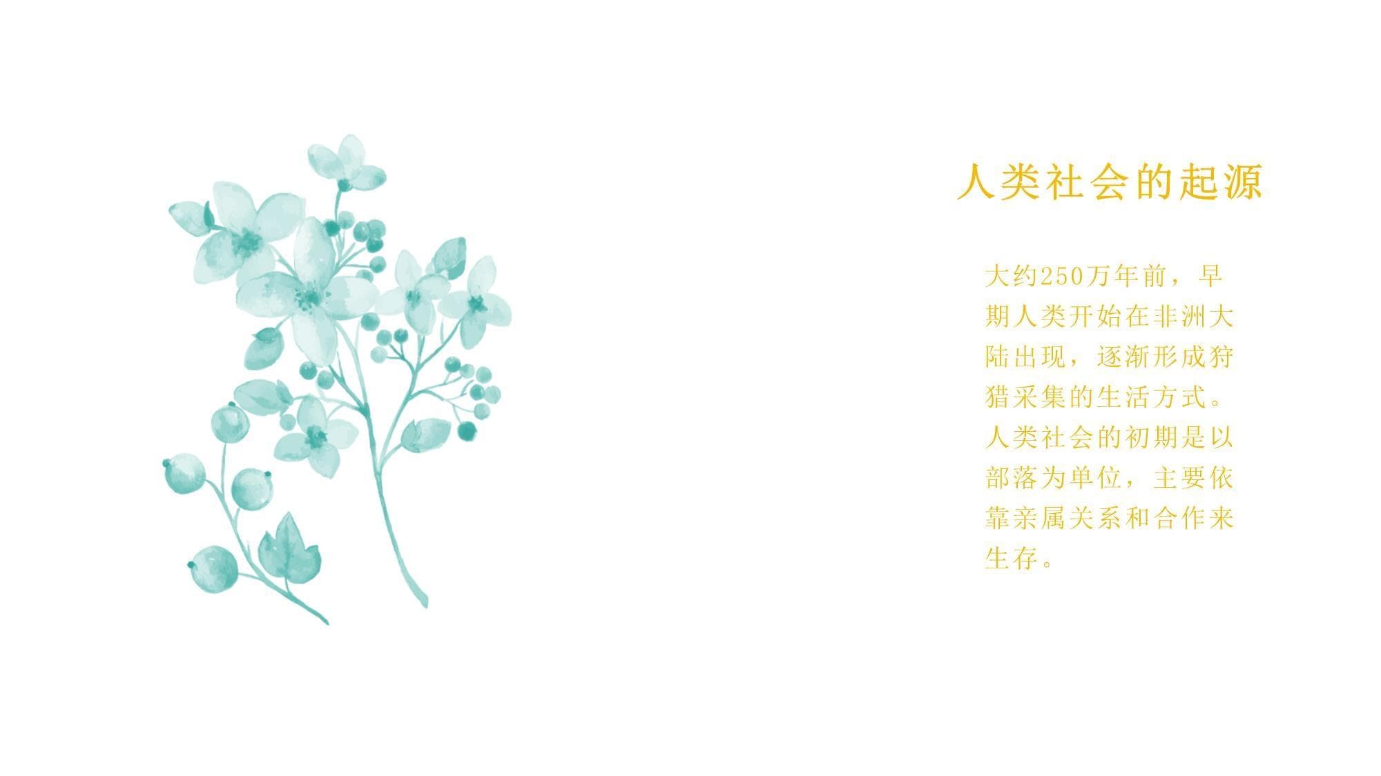 人类社会与文化演变