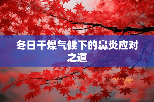冬日干燥气候下的鼻炎应对之道