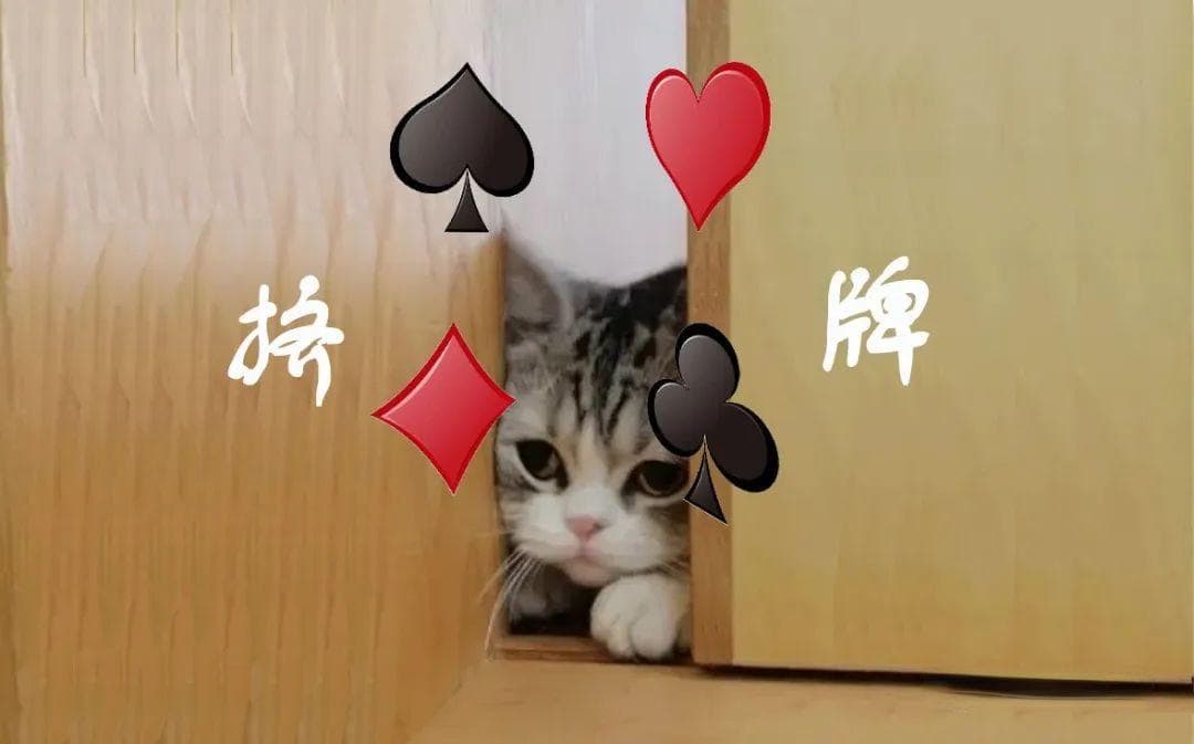 桥牌紧逼打法详解：从基本原理到实战应用