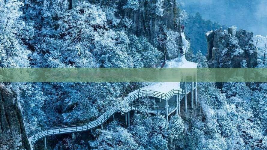 福州出发厦门鼓浪屿深度五日游全攻略：行程规划、交通指南与景点推荐