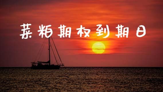 菜粕期权到期日：投资者需要关注的重要日期
