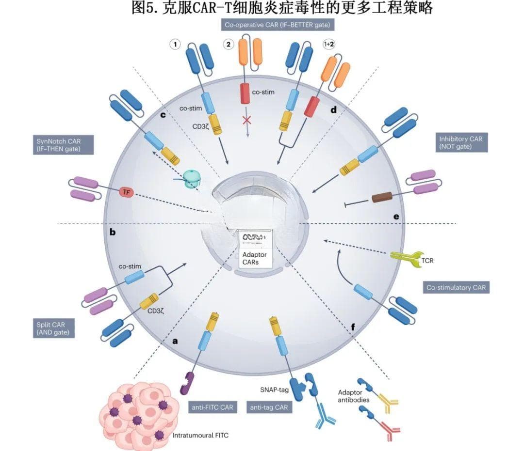 【Nature子刊】CAR-T相关CRS和ICANS的管理策略