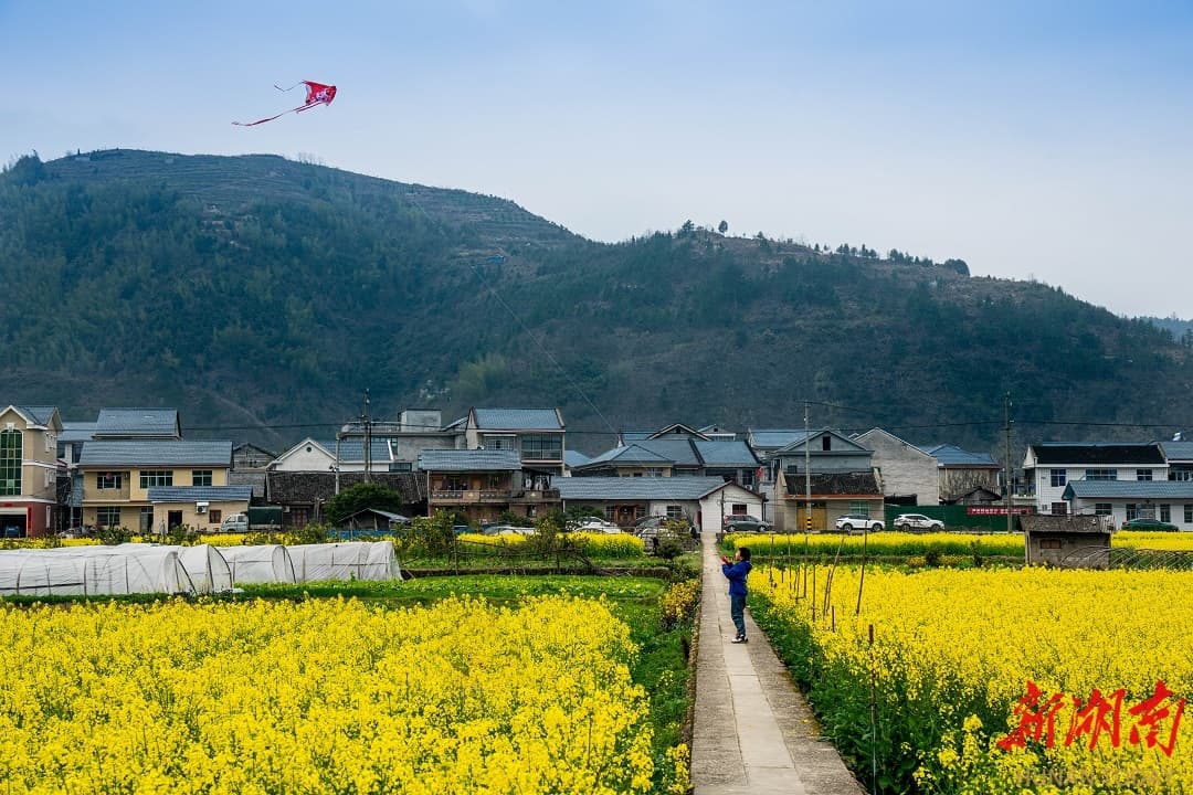 洪江古村落，散落山间的明珠