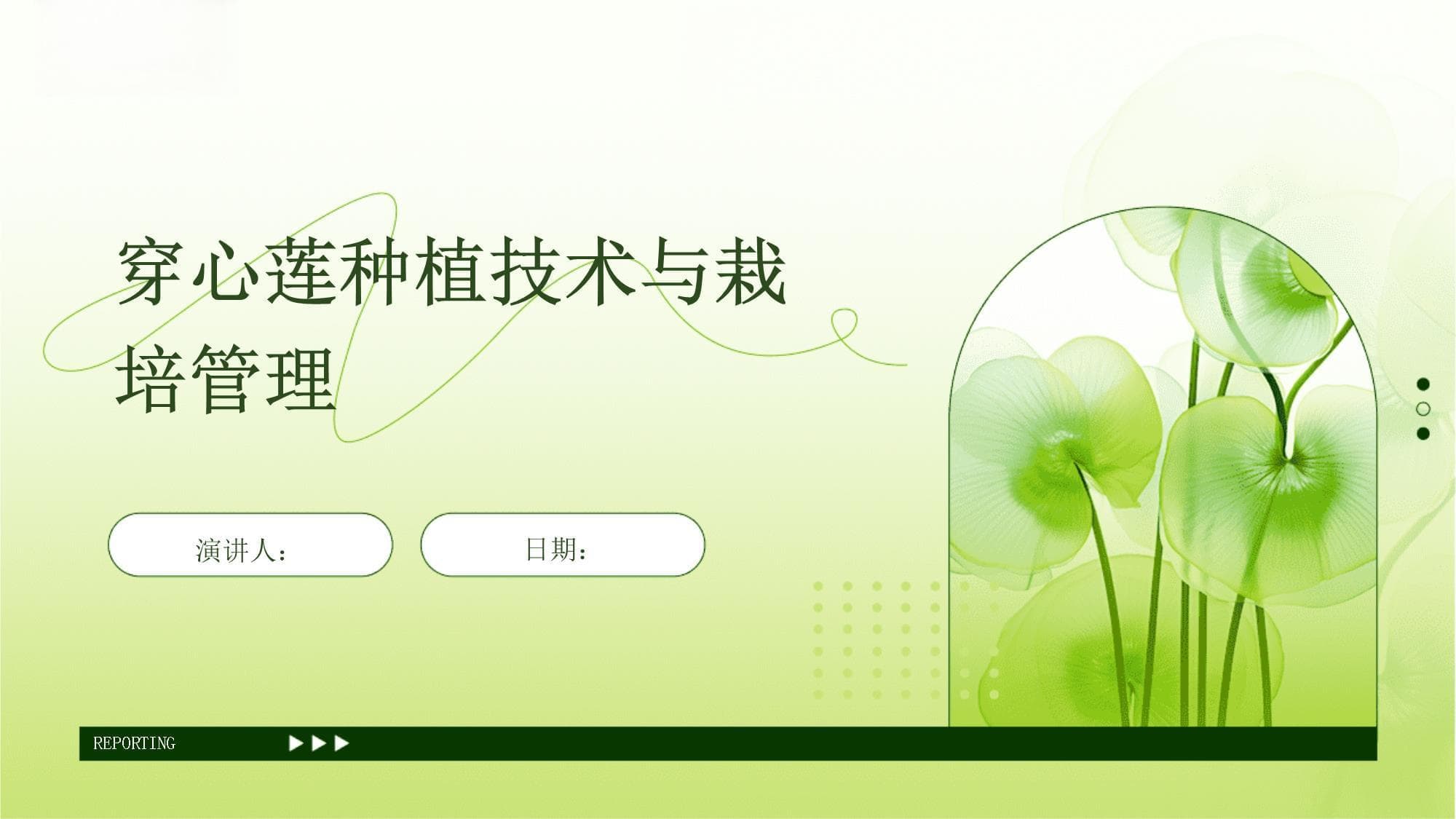 穿心莲种植技术与栽培管理指南