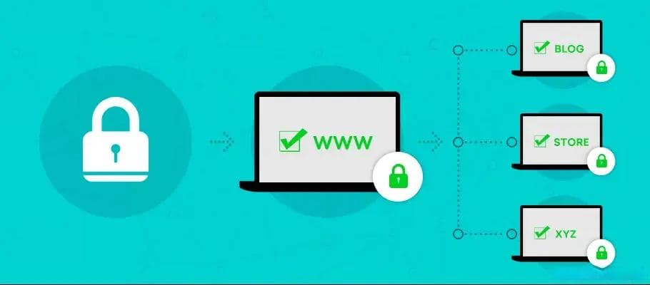 SSL/TLS证书算法体系深度解析：从数学原理到工程实践