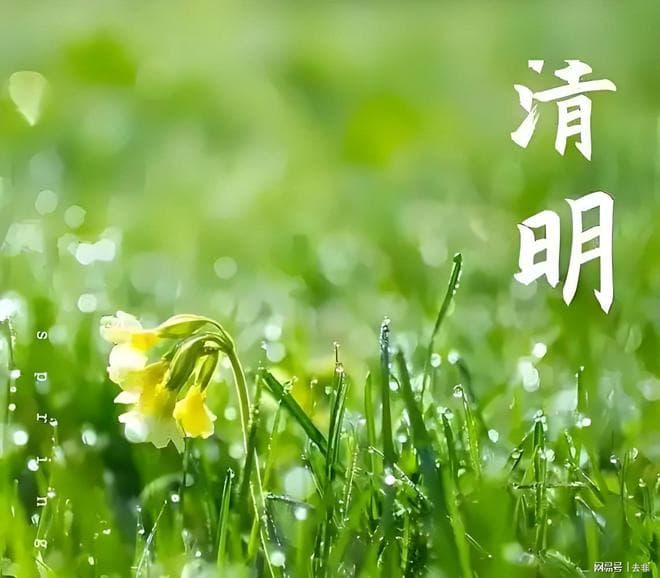 中国传统节日中为何只有清明是按照阳历来过？