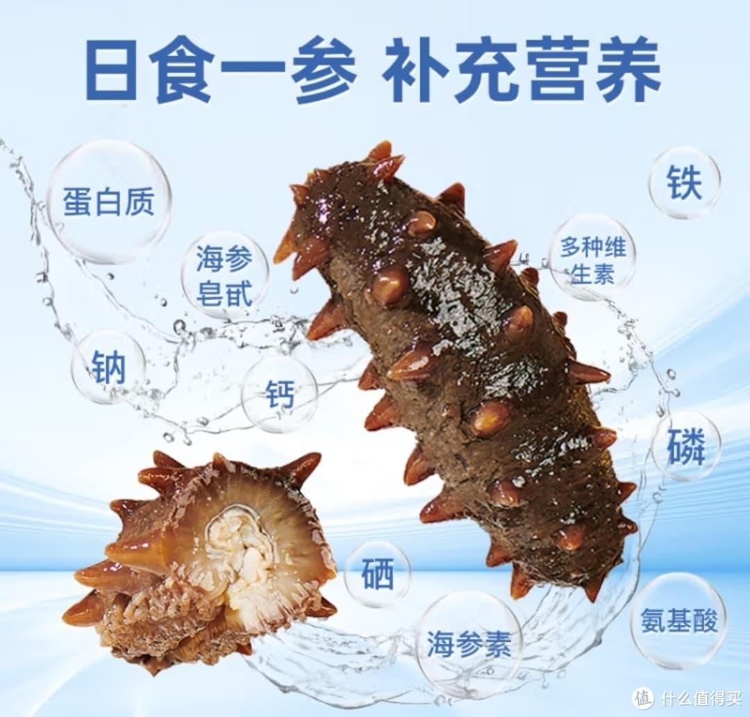 海参选购指南：优中选优的诀窍