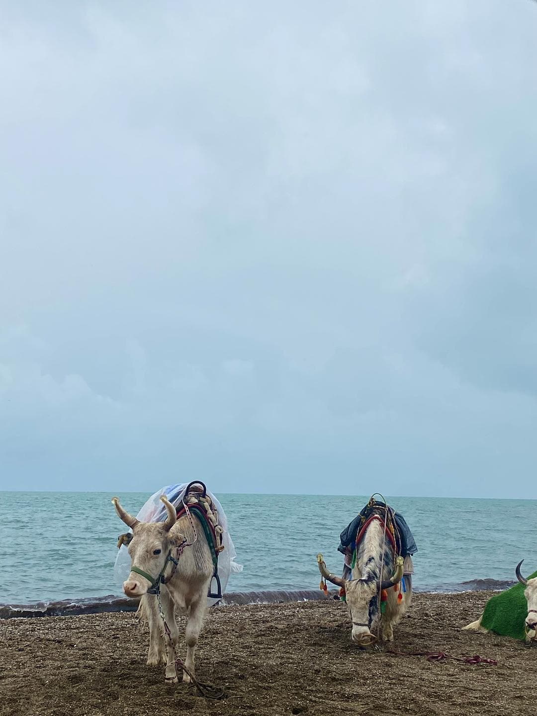 毕业旅行攻略：11天西安+青甘大环线深度游记