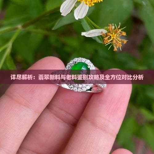 详尽解析：翡翠新料与老料鉴别攻略及全方位对比分析