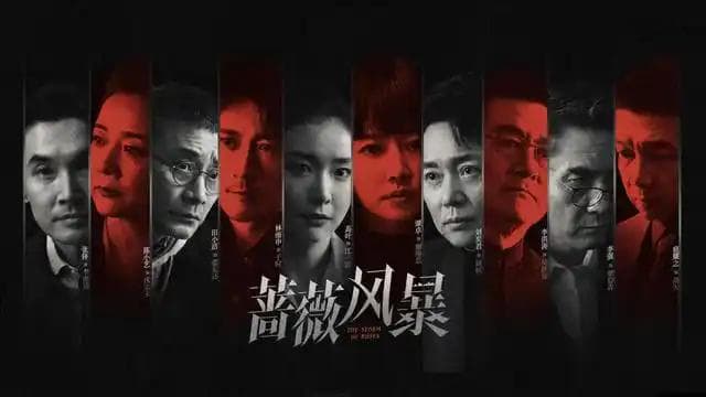 《蔷薇风暴》：用老百姓的视角见证金融发展的前行轨迹
