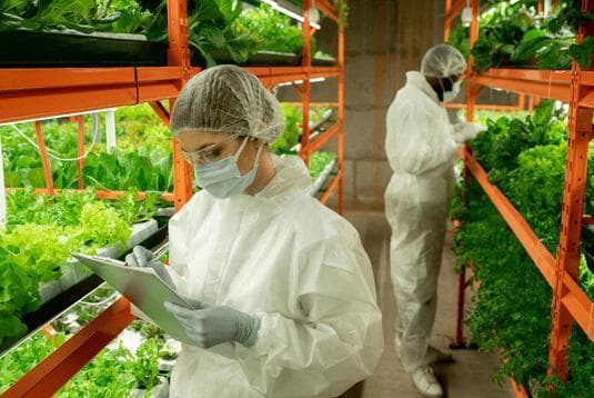 新农业种植创新：科技驱动下的农业生产革新之路