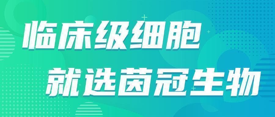 最新研究：AI识别干细胞传代数，破解细胞复制性衰老检测难题