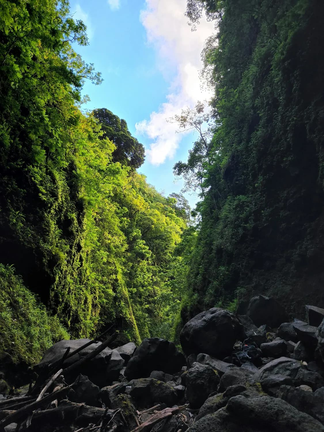 黔西南必打卡：马岭河峡谷&万峰林