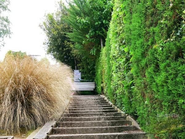 新西兰奥塔哥大学博士申请条件及留学指南