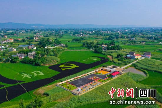 中国石油西南油气田：绿色技术赋能“双碳”业务新动力