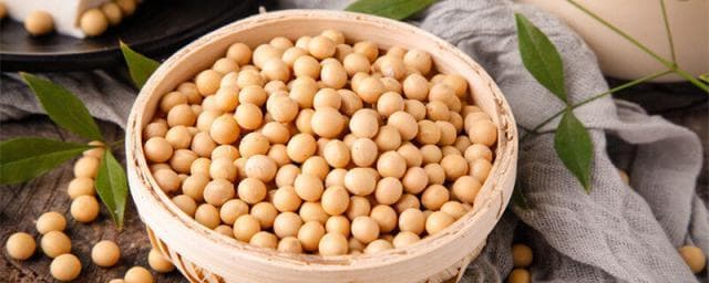 黄豆发酵做肥料步骤