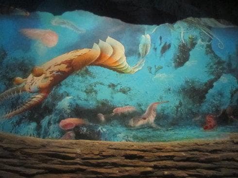 探秘恐虾纲：寒武纪的远古“霸主”